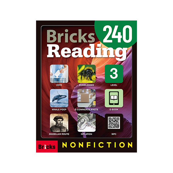 BRICKS READING 240-3 NON-FICTION